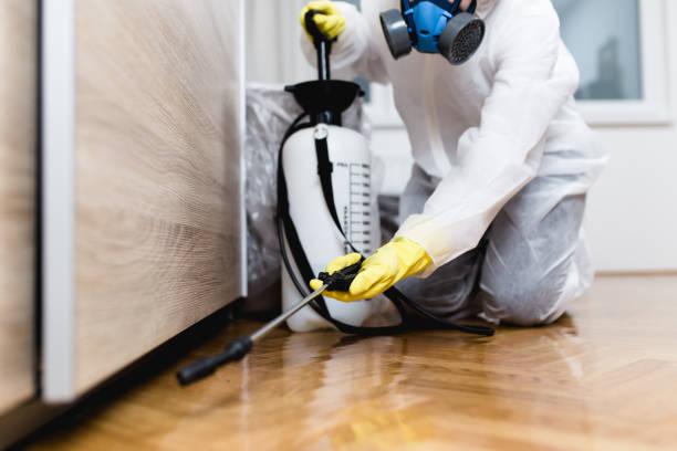 Best Local Pest Control Services  in Ocean City, NJ