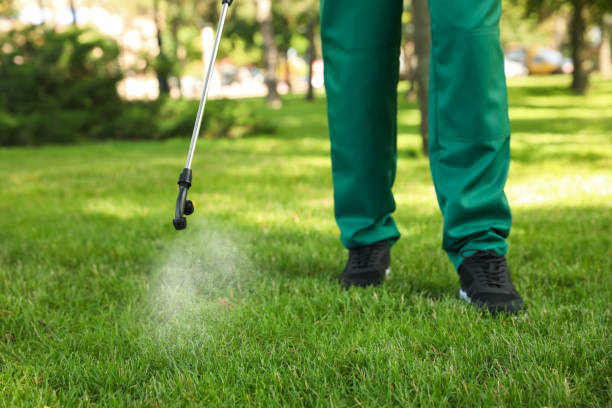 Best Insect Control  in Ocean City, NJ