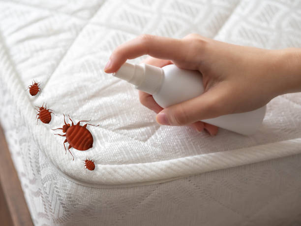 Insect Control in Ocean City, NJ