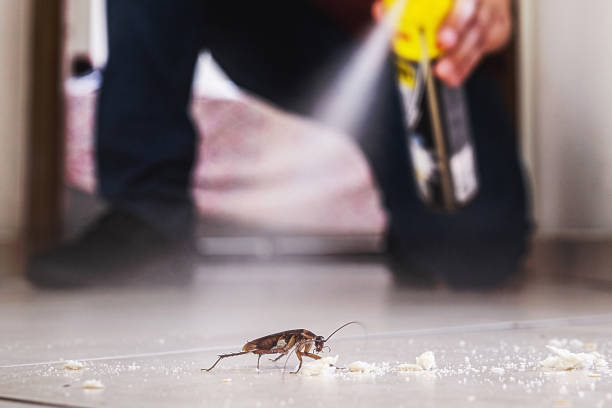 Best Commercial Pest Control Services  in Ocean City, NJ