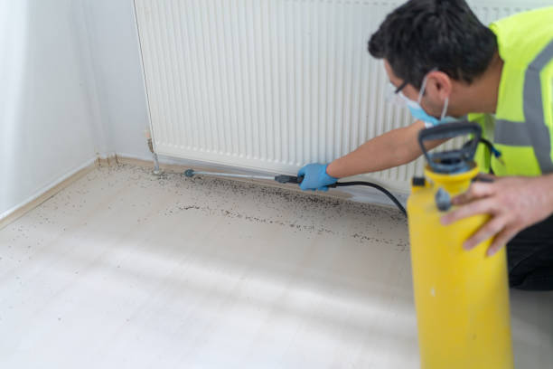 Reliable Ocean City, NJ Pest Control Solutions